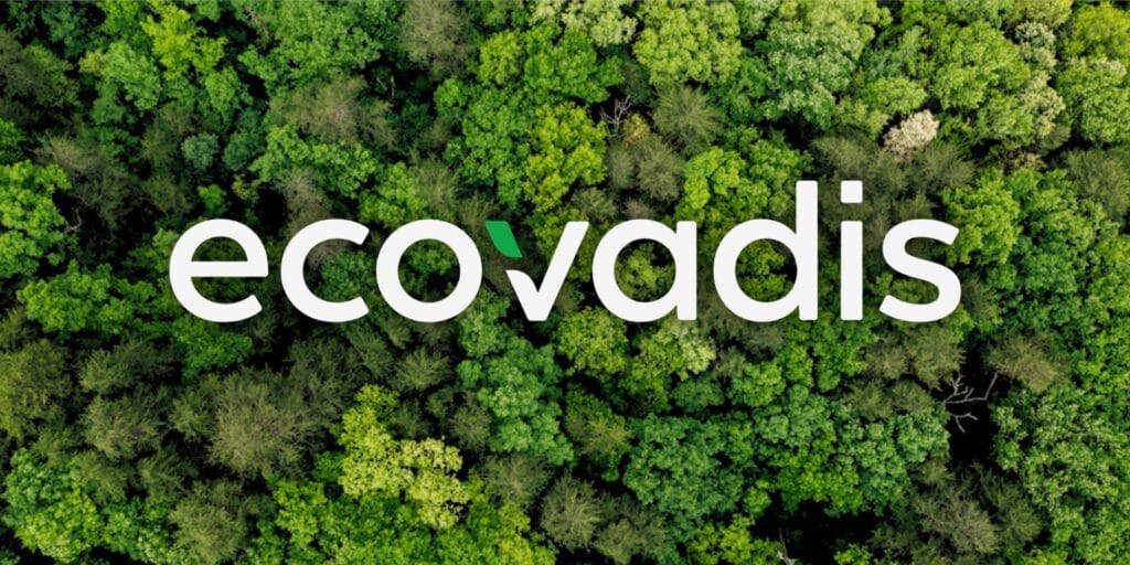 ecovadis assessment Consultancy