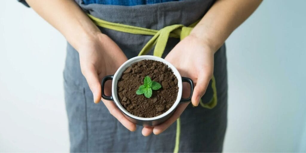 holding plant sustainability growth